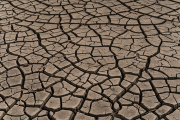dry chapped gray soil with deep cracks