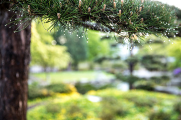 Der Park Planten un Blomen in Hamburg