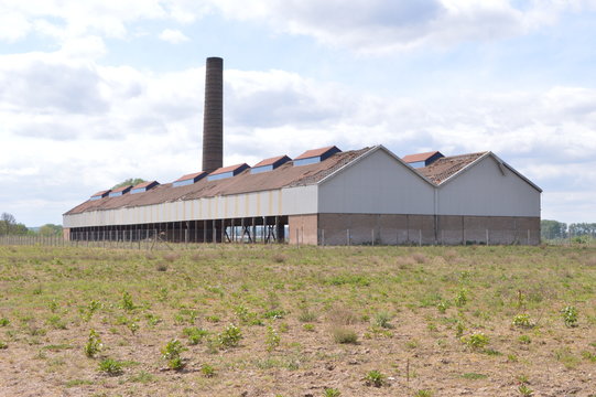 Old abandoned brick factory in Ooij polder