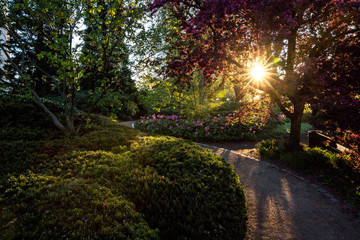 Der Park Planten un Blomen in Hamburg