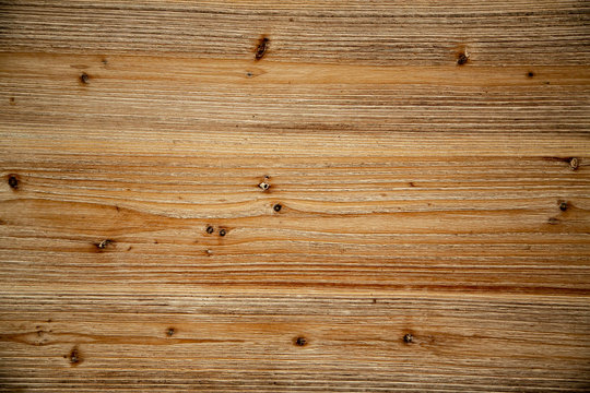 Holz