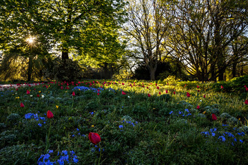Der Park Planten un Blomen in Hamburg