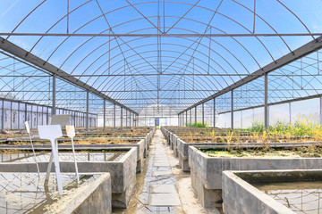 Obraz premium Empty farm plant breeding greenhouse, view inside