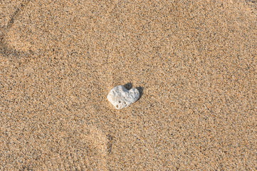 Fototapeta na wymiar Heart Shaped Coral and Sand