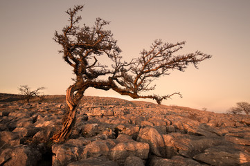 sunset twistleton sacr © Simon
