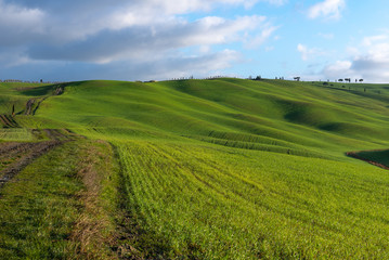 Fototapeta na wymiar Green rolling hills near San Quirico d'Orcia, Tuscany, Italy