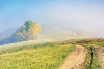 early autumn countryside scenery in foggy weather. trees in colorful foliage. country road through the hill. wonderful bright morning background in mountains.