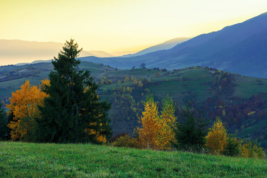 wonderful autumn landscape at dawn.  beautiful rural scenery in mountains. trees in colorful foliage. distant ridge in glow of sunlight