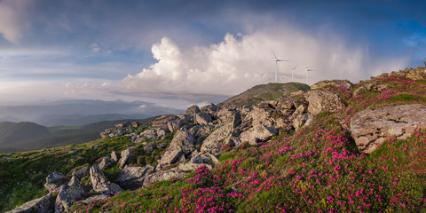 Fototapeta na wymiar Wind electric turbines in mountains