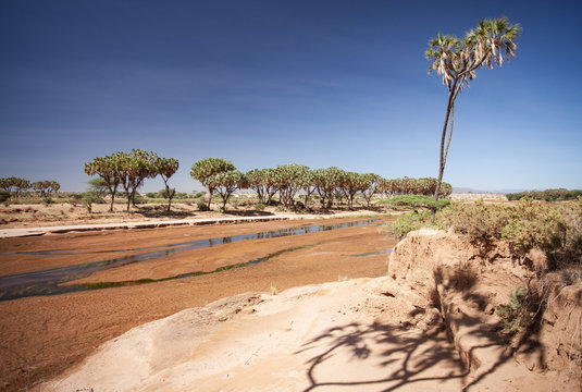 Samburu Reserve