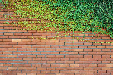Old red brick wall background texture - 264790357