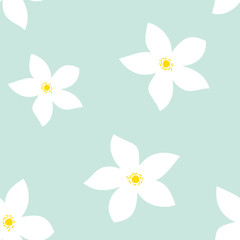 Floral background. Seamless pattern with white flowers. 