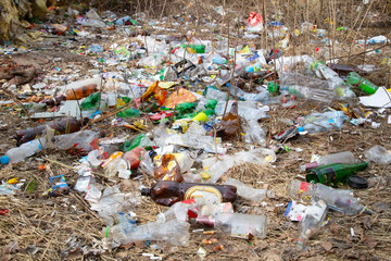 Garbage in the forest. Plastic and glass bottles in the Park.