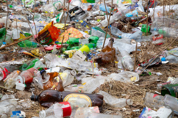 Garbage in the forest. Plastic and glass bottles in the Park.