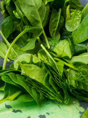 Fototapeta na wymiar fresh spinach leaves, organic food close up