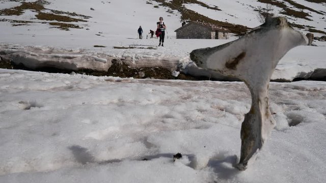 Matese Lake, Campania, Italy - february 2 2019: snowshoeing on snow covered plateau with blue sky. Matese Mounts landscape, Campo dell'esule (Field of the exile), Campo dell'arco (field of the arch)