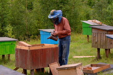 Apiary in the Carpathians. Beekeeper preparing a smoker for fumigating bees