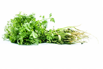 Raw organic fresh bunch of parsley leaves isolated on white.