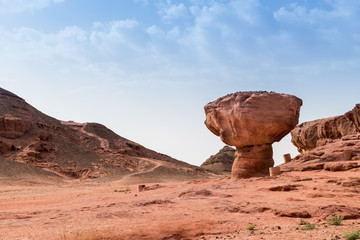 Fototapeta na wymiar mushroom rock in timna park israel