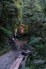Natural spa with waterfall in caldeira velha, Sao Miguel, Azores islands, Portugal