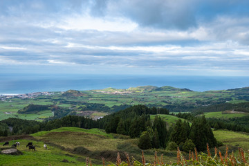 Landscape view to the Atlantic Ocean, Ribeira Grande, Sao Miguel Island, Azores, Portugal