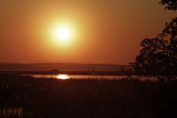 Sunset at the lake Neusiedler See