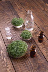 Microgreens in round container and small glass vials on wooden table. Raw sprouts, microgreens, healthy eating concept. Science, biology.