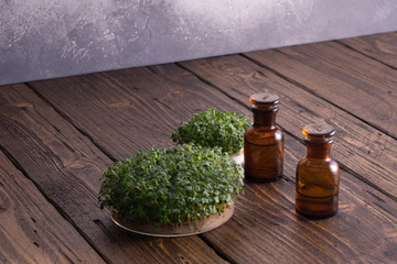 Microgreens in round container and small glass vials on wooden table against bright textured...