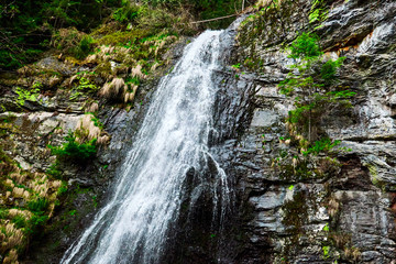 high mountain waterfall in the woods , Yalinsky mountain waterfall , Ukraine , Carpathians
