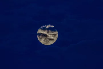 Foto auf Acrylglas Vollmond und Bäume Mond hinter Wolken