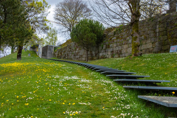 Beautiful stairs in a park with trees and white and yellow marigold flowers in the green grass