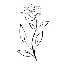 stylized flower on stem with leaf in black lines on white background