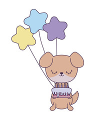 cute dog with cake of birthday and balloons helium