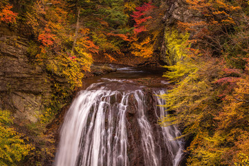 長野県 王滝 紅葉