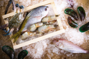 fresh fish on ice