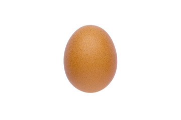 chicken brown egg isolate
