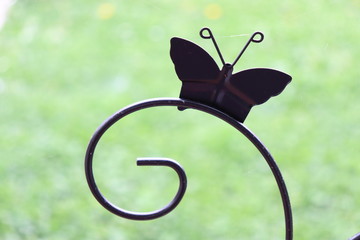 BUTTERFLY