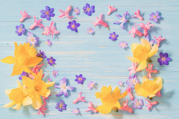 spring flowers on old blue wooden background