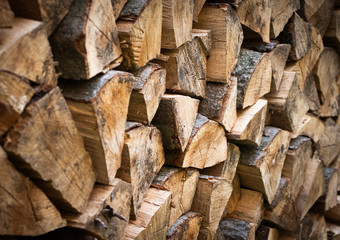 Fototapeta premium Holz