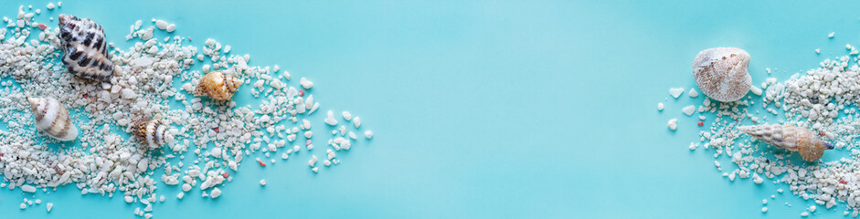 seashells scattered on a turquoise background wiht copy space