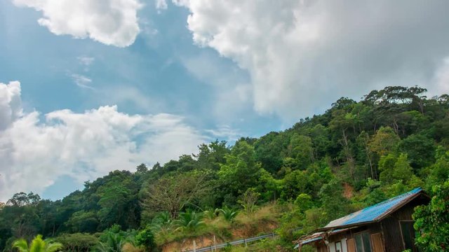 Time-lapse of cloud-drift over blue sky under trees on the hill