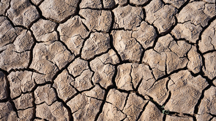 dried mud
