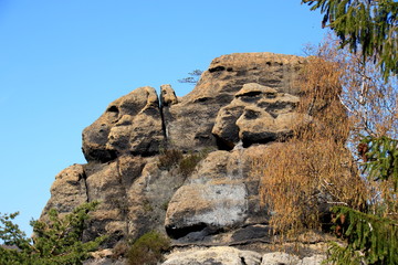 Felsen in Form eines Dackel in der Jonsdorfer Felsenstadt