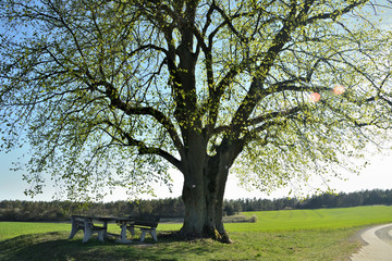 Obraz premium Rastplatz