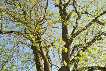 Fototapeta premium Rastplatz