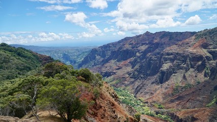 Waimea Canyon in Kauai