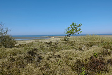 Fototapeta na wymiar Cuxhaven Natur in der Umgebung