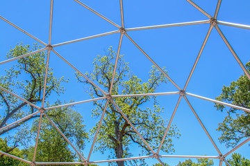 Geodesic dome frame climber - metal - Tall spring trees viewed through section with very blue sky -...