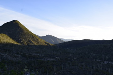 zapotitl&aacute;n de salinas