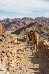 Sinai  desert and mountains 